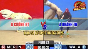 Trận 33 CPC2 10/06/2026 - Gà Bướm Anh Khánh Không Cho Đỏ Cơ Hội Nào