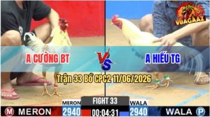 Trận 33 CPC2 11/06/2026 - Gà Anh Hiếu TG Có Chân Cựa Dứt Điểm