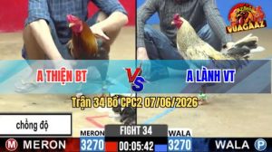 Trận 34 CPC2 07/06/2026 - Gà Chuối Anh Lành Đá 2 Tay Nước Có Kết Quả