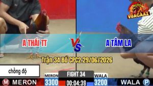 Trận 34 CPC2 29/06/2026 – Anh Tâm Làm Thịt Gà Chồng Độ Của Anh Thái