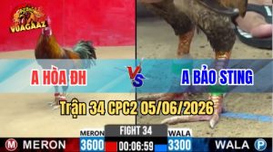 Trận 34 CPC2 Ngày 05/06/2026 Tại Vua Gà AZ