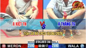 Trận 34 CPC3 14/06/2026 – Gà Bướm Anh Thắng TG Đá Đâm Như Điện