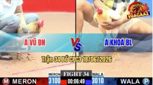 Trận 34 CPC3 18/06/2026 – Gà Anh Vũ ĐN Đá 1 Chân, Xanh Gãy Giò