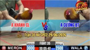 Trận 35 CPC2 29/06/2026 – Anh Khanh Lụm Anh Cường Vì Tội Chấp Ngông