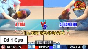 Trận 35 CPC3 07/06/2026 - Anh Giang Đức Hoà Chấp 8 Chấm Vẫn Lụm
