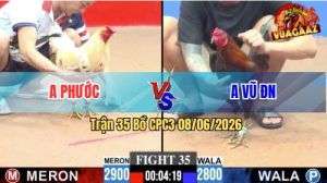 Trận 35 CPC3 08/06/2026 - Gà Bướm Anh Phước Đá Quá Khôn Khéo