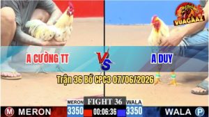 Trận 36 CPC3 07/06/2026 - Gà Anh Duy Dí Ăn 5 Không Cho Đỏ Cơ Hội