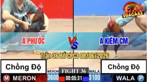 Trận 36 CPC3 08/06/2026 - Idol Kiểm Cà Mau Chấp 5 Chấm Vẫn Về Bờ