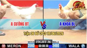 Trận 36 CPC3 18/06/2026 – Gà Úa Nạp Siết, Bướm Không Chịu Nổi Nhiệt