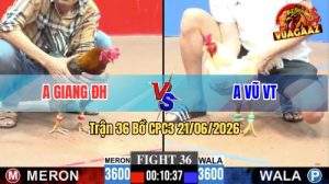 Trận 36 CPC3 21/06/2026 – Gà Úa Anh Vũ Đâm 1 Chân Ngay Ông Địa
