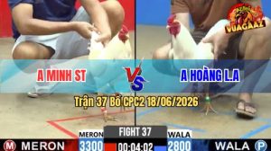 Trận 37 CPC2 18/06/2026 – Anh Minh Lụm Anh Hoàng Vì Tội Chấp Ngông