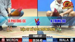 Trận 37 CPC2 29/06/2026 – Anh Trung Đánh Bại Idol Phương Tóc Dài