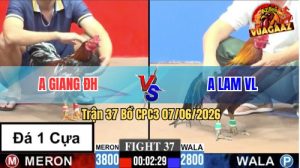 Trận 37 CPC3 07/06/2026 - Anh Giang ĐH Làm Gọn Anh Lam VL