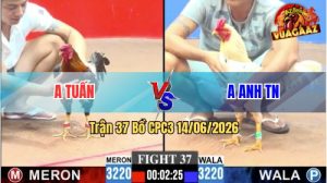 Trận 37 CPC3 14/06/2026 – Gà Bướm Anh Tuấn Canh Chặn Đá Đúng 1 Cặp