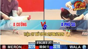 Trận 37 CPC3 21/06/2026 – Anh Cường Đánh Bại Anh Phú Sài Gòn