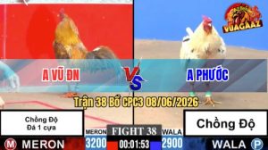 Trận 38 CPC3 08/06/2026 - Gà Úa Anh Phước Cứ Nhấc Chân Là Dính Cựa