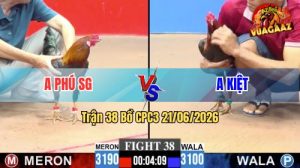 Trận 38 CPC3 21/06/2026 – Gà Anh Phú SG Đá Gà Anh Kiệt Gãy Cổ
