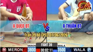 Trận 39 CPC2 07/06/2026 - Anh Quẹo Lụm Anh Thuận Trong 2 Nốt Nhạc