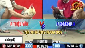 Trận 39 CPC2 18/06/2026 – Gà Anh Triệu Vân Chồng Độ Ăn Mãn Nhãn