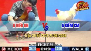 Trận 39 CPC3 21/06/2026 – Gà Bướm Anh Kiểm Canh Đá 1 Cây Cựa Hiểm