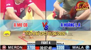 Trận 4 CPC2 01/06/2026 - Anh Hoàng Long An Chấp 4 Chấm Vẫn Thoải Mái