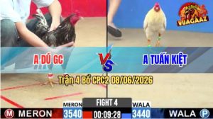 Trận 4 CPC2 08/06/2026 - Anh Dú GC Bị Dí Bạc Ăn 6 Và Cái Kết