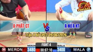 Trận 4 CPC2 09/06/2026 - Gà Bướm Anh Nửa Nhấc Chân Là Có Cựa