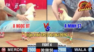 Trận 4 CPC2 10/06/2026 - Anh Minh Sóc Trăng Đụng Độ Với Anh Ngọc BT