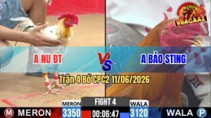 Trận 4 CPC2 11/06/2026 - Anh Bảo Sting Đụng Với Anh Nu Đồng Tháp