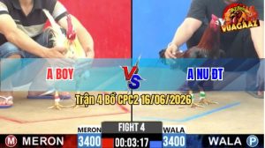 Trận 4 CPC2 16/06/2026 – Gà Điều Anh Nu Đá Canh Chặn Khôn Như Người