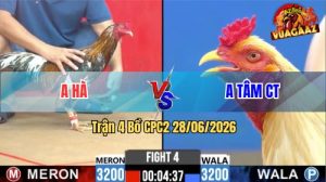 Trận 4 CPC2 28/06/2026 – Gà Bướm Anh Tâm Đá Canh Chặn Quá Khôn Khéo