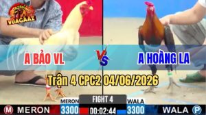 Trận 4 CPC2 Ngày 04/06/2026 Tại Vua Gà AZ