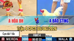 Trận 4 CPC2 Ngày 05/06/2026 Tại Vua Gà AZ