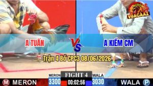 Trận 4 CPC3 08/06/2026 - Gà Bướm Idol Kiểm Cà Mau Nhỏ Mà Có Võ