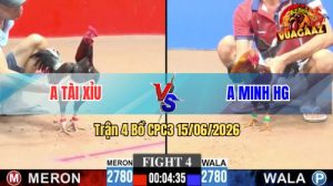 Trận 4 CPC3 15/06/2026 – Gà Điều Đá Que Thì Chỉ Có Đem Xe Đi Cầm