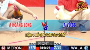 Trận 4 CPC3 20/06/2026 – Gà Anh Vũ Củ Chi Đá Đòn Quá Hiểm Hóc
