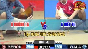 Trận 40 CPC2 25/06/2026 – Gà Điều Anh Hoàng Đá Mấy Chân Gà Úa Bay Bồ