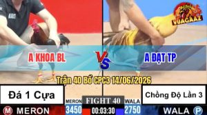 Trận 40 CPC3 14/06/2026 – Gà Khét Anh Đạt Chồng Độ 3 Lên Lớp Đẳng Cấp