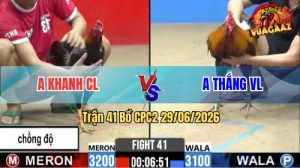 Trận 41 CPC2 29/06/2026 – Gà Anh Khanh CL Có Đòn Đá Quá Mãn Nhãn