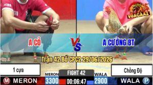 Trận 42 CPC2 29/06/2026 – Anh Cỏ Chấp 1 Cựa, Anh Cường Chồng Độ