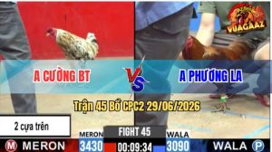 Trận 45 CPC2 29/06/2026 – Gà Vàng Anh Phương Đâm 1 Cây Hiểm Ngay Lưng
