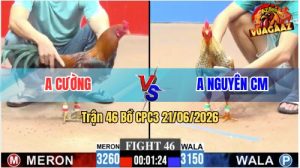 Trận 46 CPC3 21/06/2026 – Gà Cú Anh Nguyên Đâm Mấy Chân Lụm Tiền
