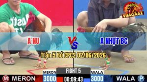 Trận 5 CPC2 02/06/2026 - Gà Cú Anh Nhựt Đá Tốc Độ Như Tên Bay