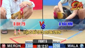 Trận 5 CPC2 09/06/2026 - Gà Que Anh Hai Hóc Môn Chà Mấy Chân Lụm Tiền