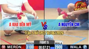 Trận 5 CPC2 10/06/2026 - Gà Bướm Anh Kha Đá Canh Chặn Khôn Như Người