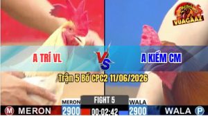 Trận 5 CPC2 11/06/2026 - Anh Kiểm Cà Mau Có Pha Lật Ngược Thế Cờ