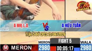 Trận 5 CPC2 12/06/2026 - Gà Úa Anh Hữu Tuân Đá Mấy Chân Lụm Lúa