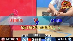 Trận 5 CPC2 14/06/2026 - Anh Bình TG Thắng Dễ Dàng Trước Anh Thạnh