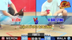 Trận 5 CPC2 16/06/2026 – Gà Bướm Anh Bảo Sting Nuốt Ói Cứu Chủ