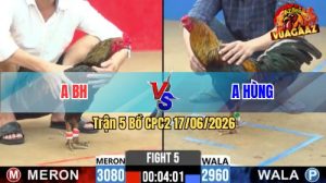 Trận 5 CPC2 17/06/2026 – Gà Chuối Anh BH Có Chân Cựa Dứt Điểm